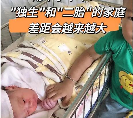 “独生”和“二胎”家庭间的差距，真的很大吗？独生家庭的孩子像温室里的独苗，
