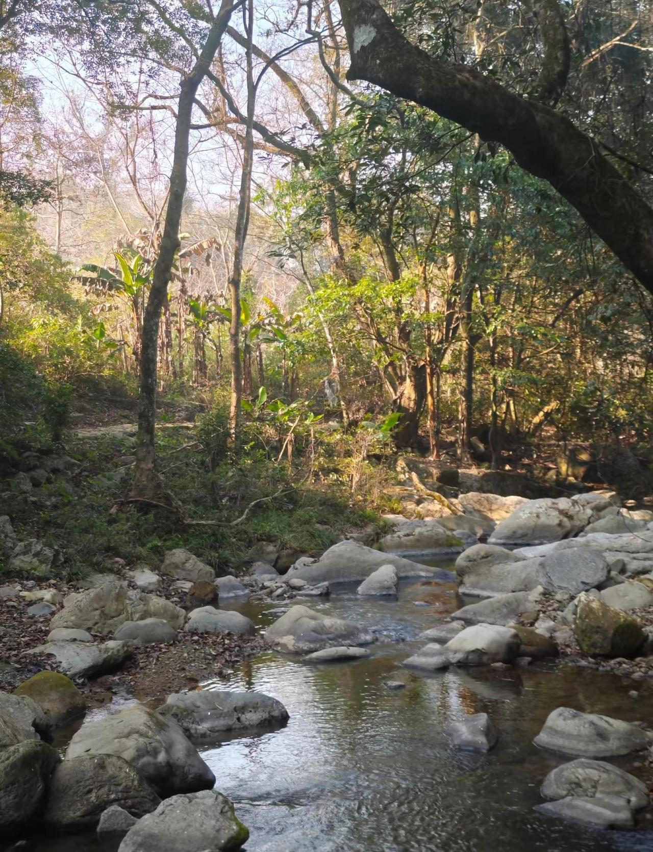 延平有多少人知道这里？不输溪源庵的美景户外爬山露营延平