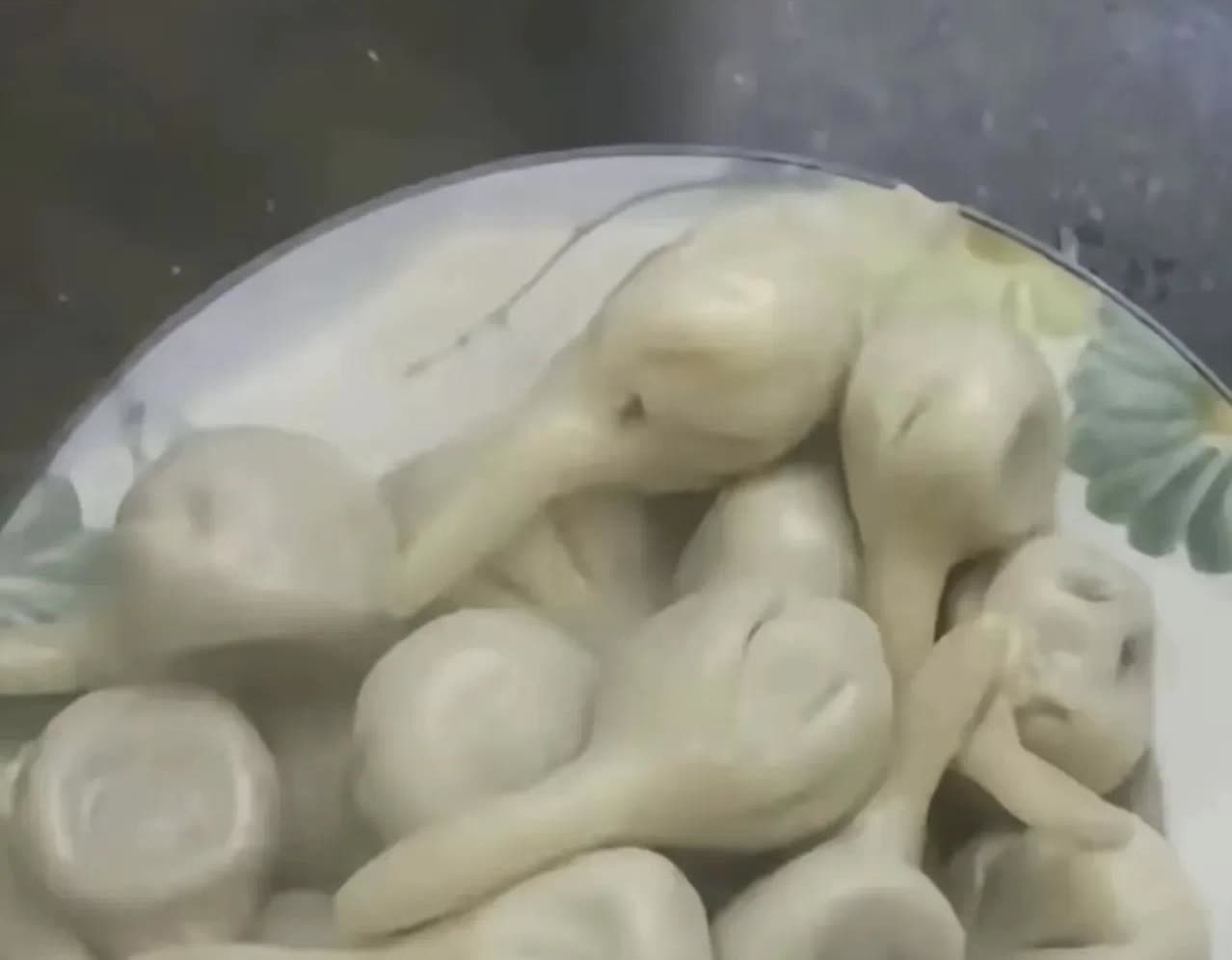 河南，一名女子中午打算吃饺子，就和了点面，调了点馅，准备中午包。可是，临近中午的