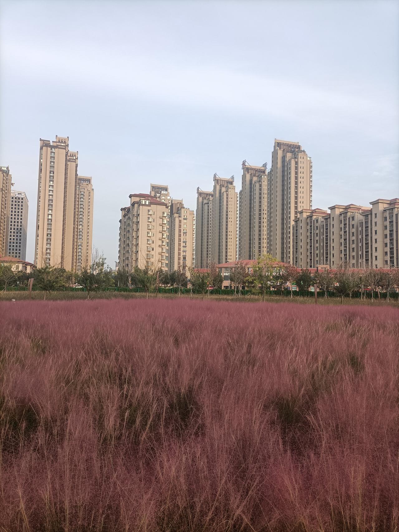 王猛很猛前秦皇帝苻坚非常欣赏王猛的才华，经常对人说，自己得到王猛，就像刘备