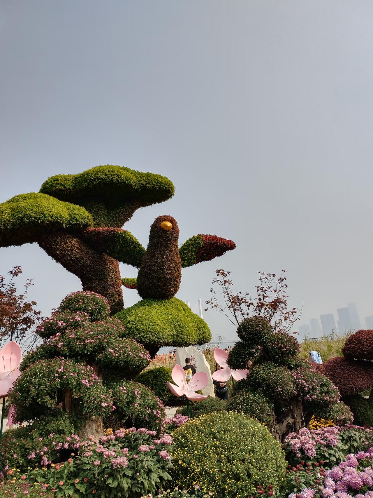 趁父母还能走，我带他们去了趟北京。第三天，我躲在卫生间哭了一场。去年过年，父
