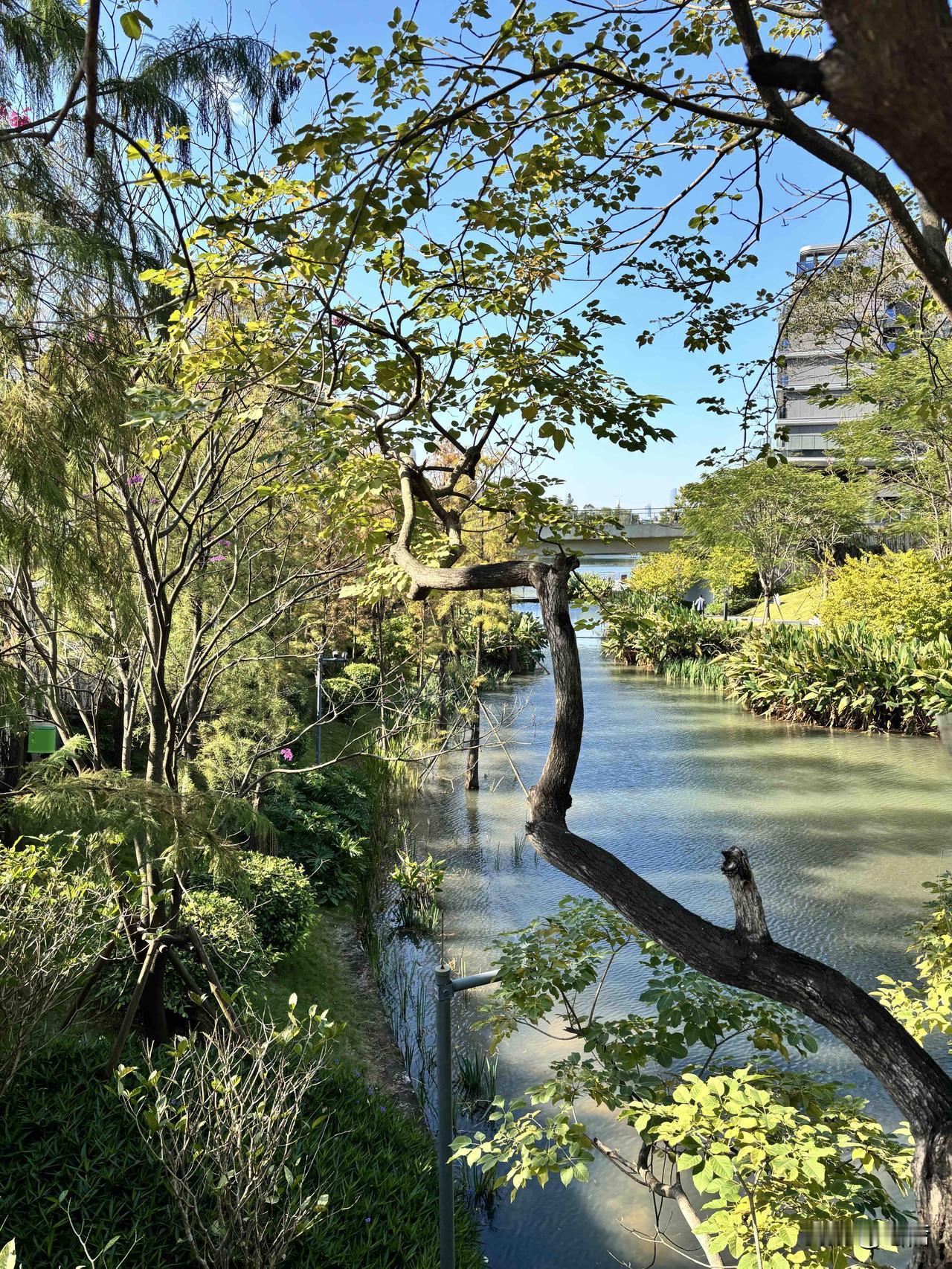 玄学提醒：最强的转运方式，是学会【拒绝】频率是会传染的。陪人抱怨并不会改变