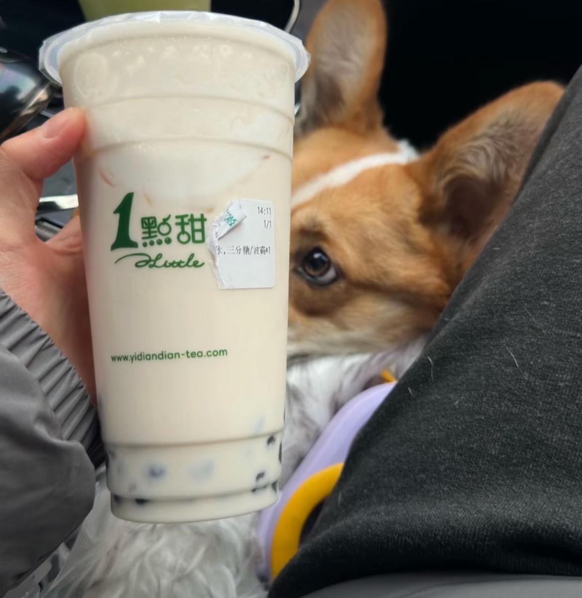 最近有网友在黑龙江牡丹江逛街时，发现了一件让人哭笑不得的事儿——一家新开的奶茶店