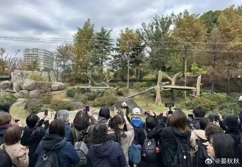 日本即将没有大熊猫随着中日关系恶化，中国已明确不再续租大熊猫给日本。这意味着，从