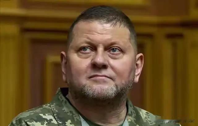 仗打完了，事就完了？乌克兰前总司令扎卢日内最近发出警告：等俄乌冲突一结束，乌克兰