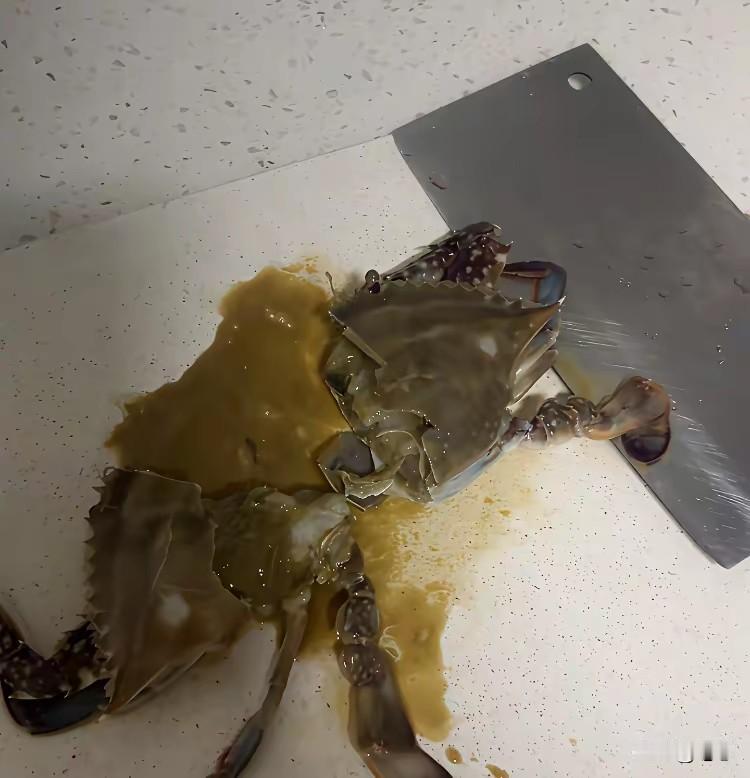 啊，这是买的什么鬼