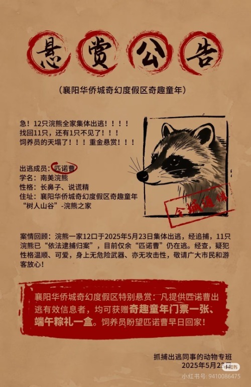 【#襄阳12只浣熊暴雨后越狱##景区悬赏找逃跑浣熊匹诺曹#】5月23日，襄阳华侨