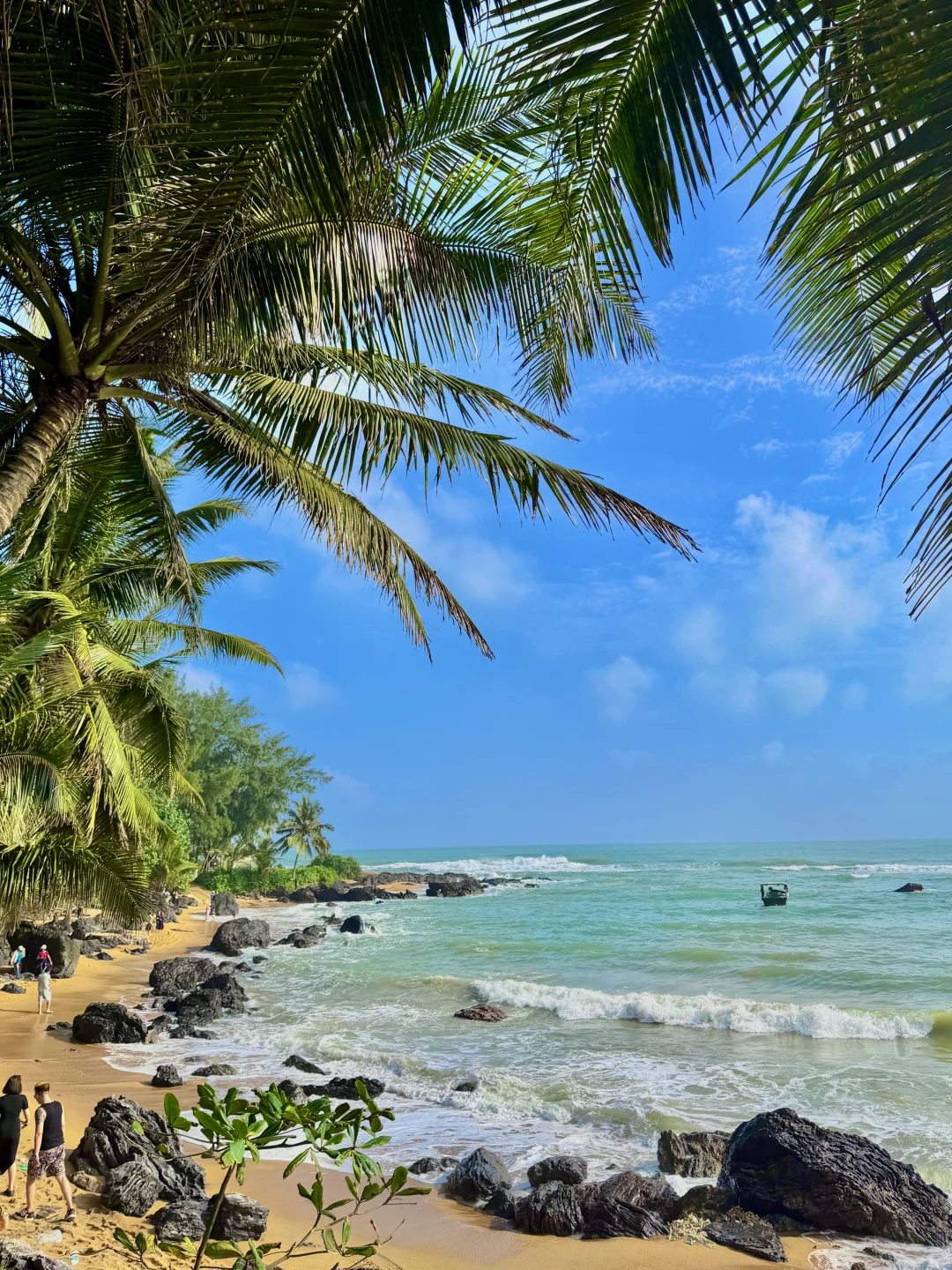 live实况·万宁真的夯爆了！4天3晚直接抄作业