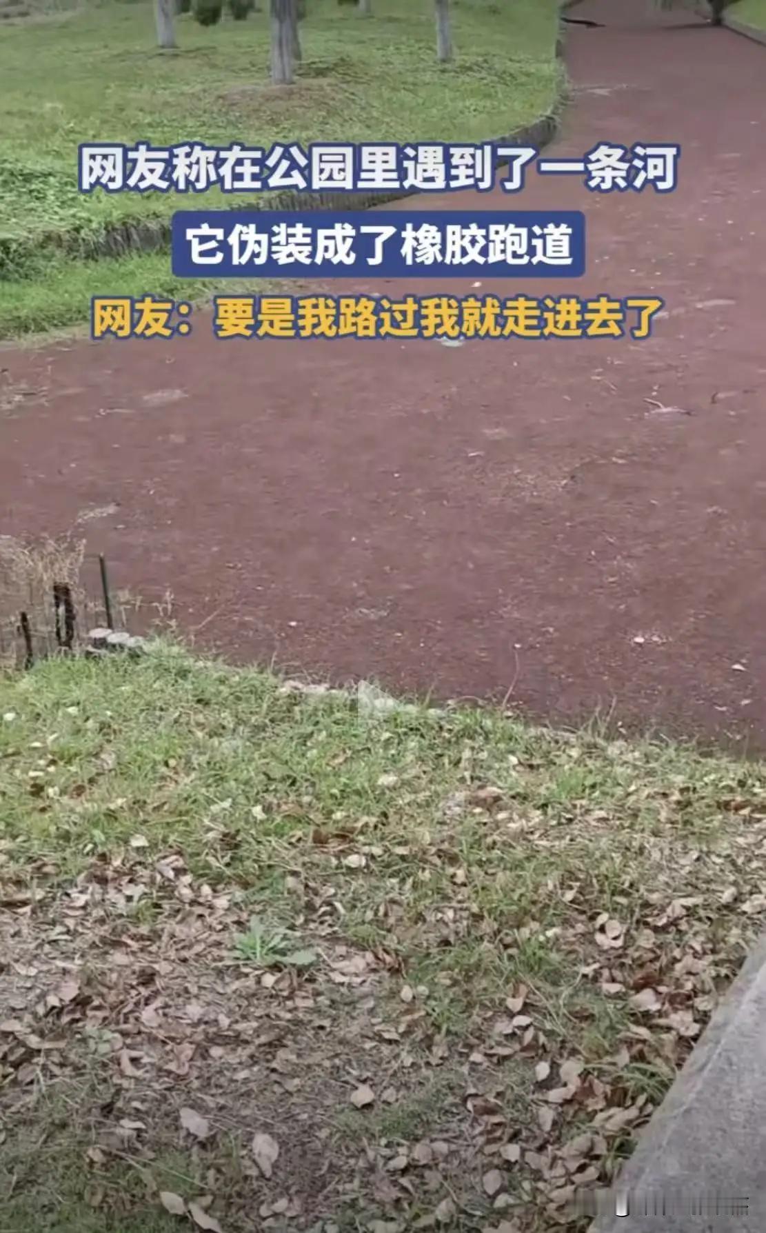 “不开玩笑，这真的会要人命的！”一位男子在公园散步时，被眼前的一幕惊出冷汗——原