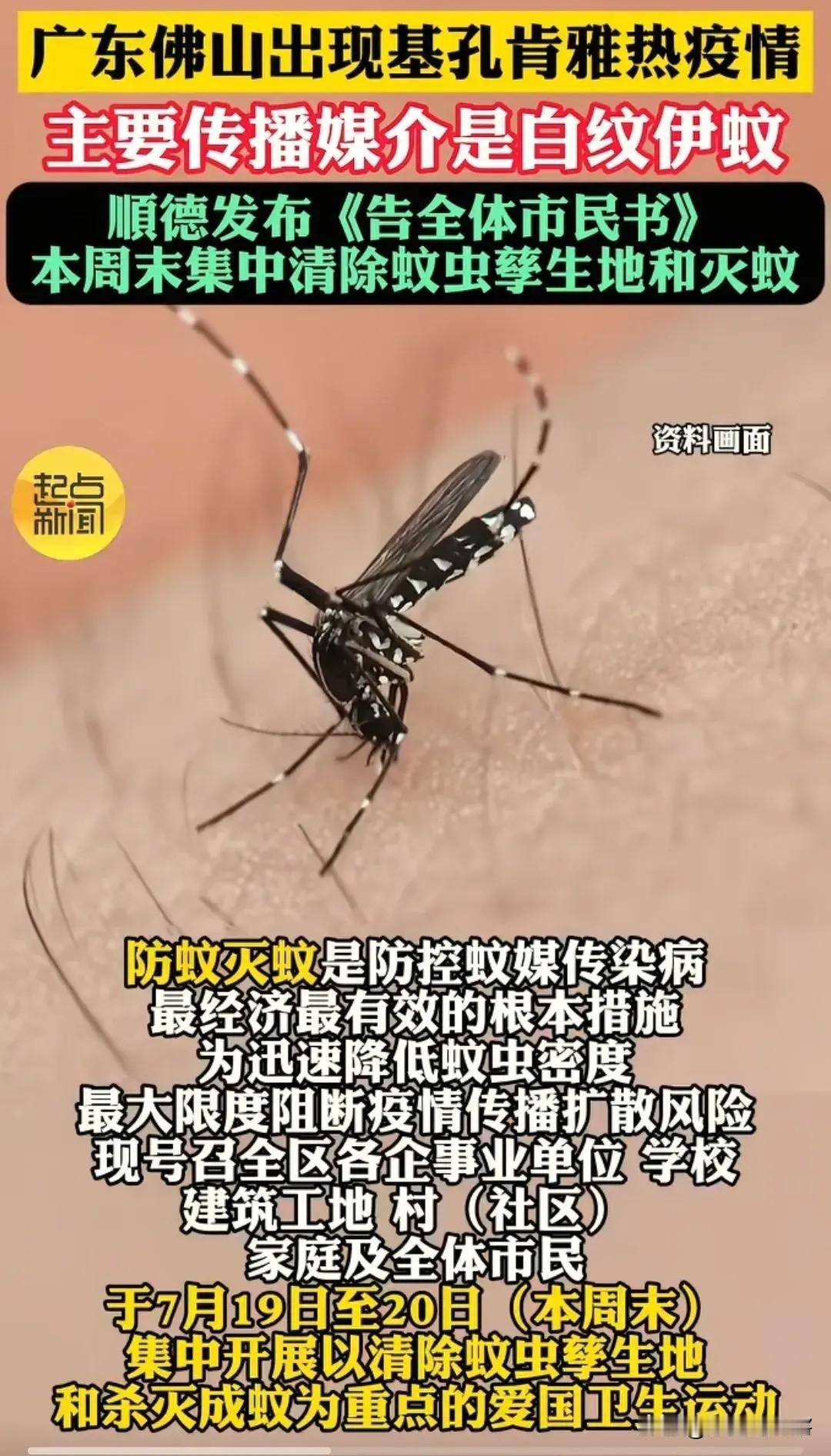 “挨一嘴，疼半月！”谁能想到啊，顺德区正遭带毒花蚊奇袭——黑底白纹的伊蚊咬人后