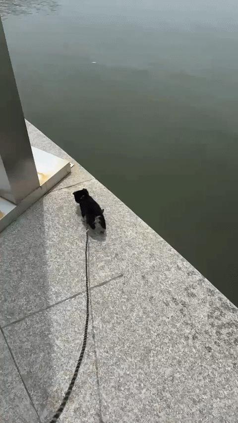 我有一次遛狗的时候也这样......我以为它能看见[捂脸哭]