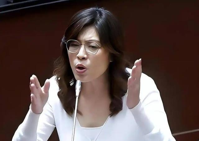 中国国民党发布严正声明，日前中国国民党正式召开记者会，字字诛心。他们明确指出，特