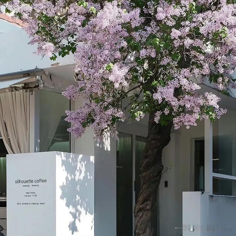 «十二星座分手后会做的第一件事情»白羊座♈：工作分手？分手有什么大不了