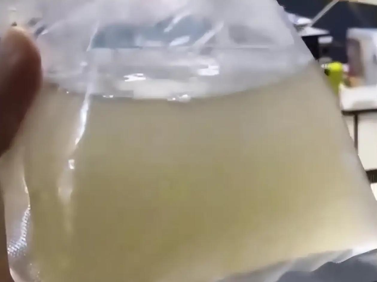 辽宁抚顺一位男子，11月12日下单五十条白云金丝鱼，等快递的劲一直吊着，箱子剪开