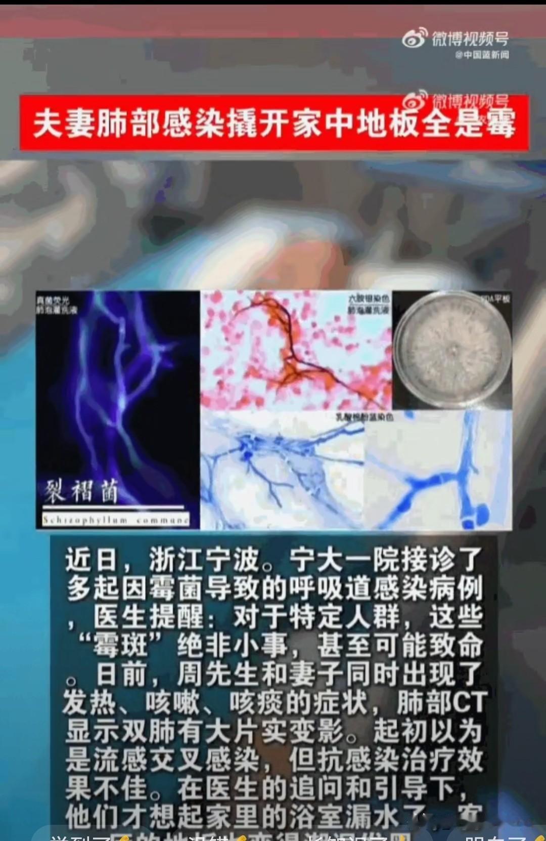 “真是让人想象不到！”浙江宁波，周先生和妻子怎么也想不到，天天住的家里竟然藏着一