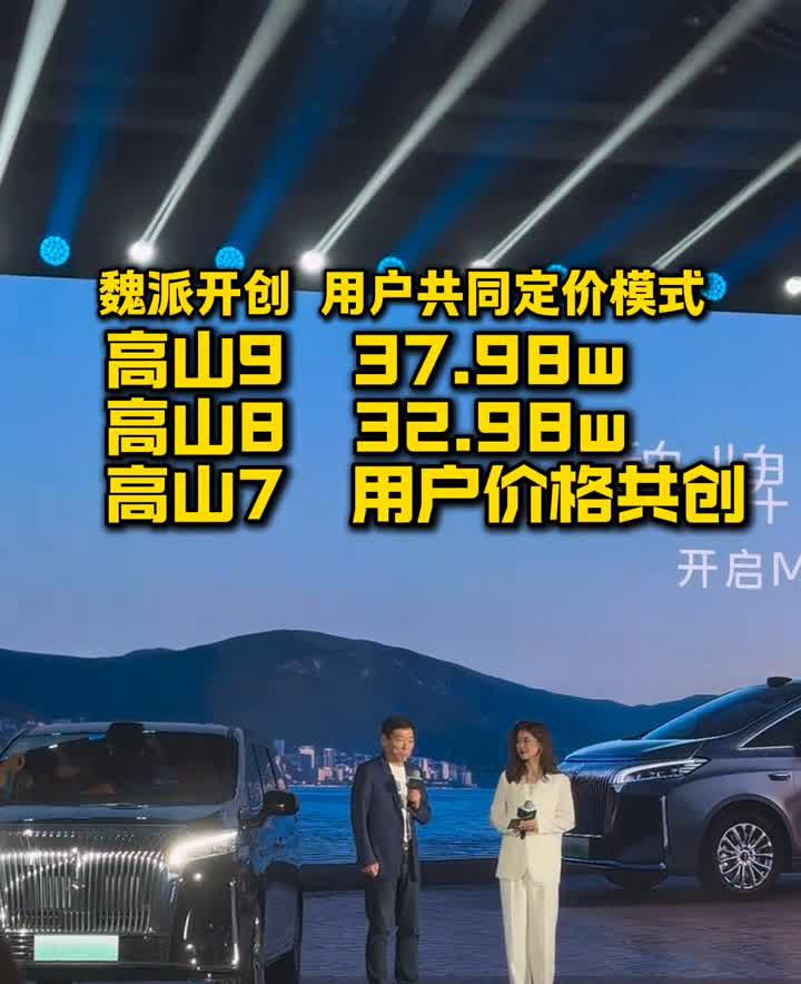 魏派开创用户共同定价模式。当然全新高山也标配此举。当mpv的观众在此再次表示