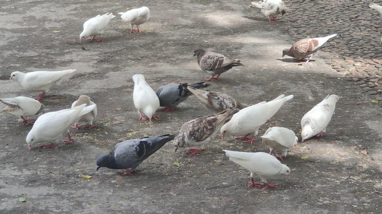 🎀春日公园慢生活：东莞人民公园寻一方静谧🌳在东莞人民公园的春日里，寻得一片