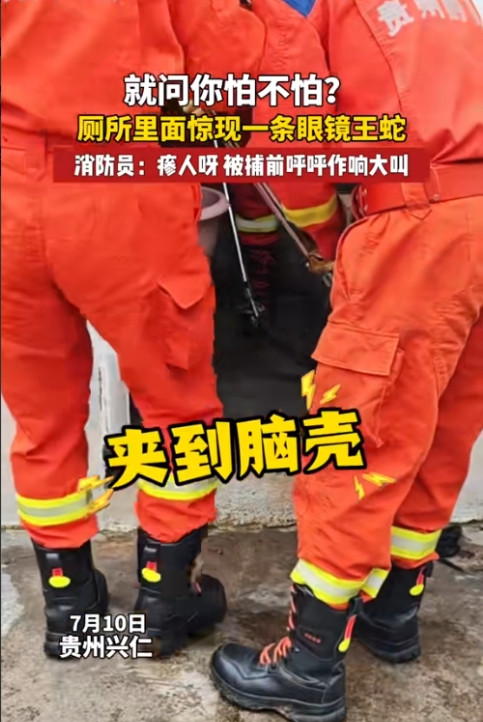 吓死人了！”贵州，一男子上厕所时，突然听到阴暗的角落里发出“嘶嘶”的声音，他回头