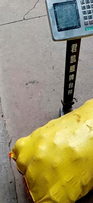 回婆婆家里，公婆不在家有人来收土豆，邻居过来问我卖土豆不？我看见家里房檐下边