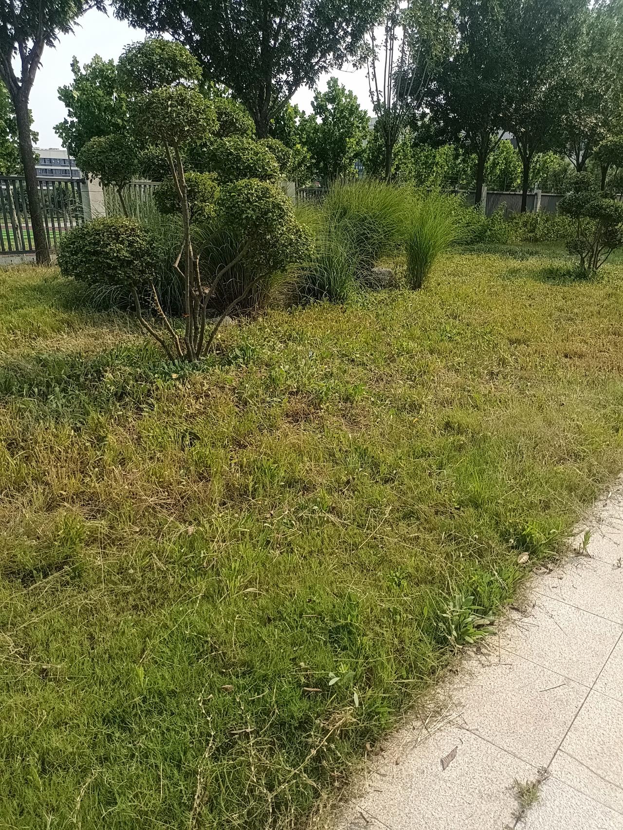 一段非常通透的话：“任何一个女人，都比男人更开放、更大胆、更热烈、更需要刺激。女