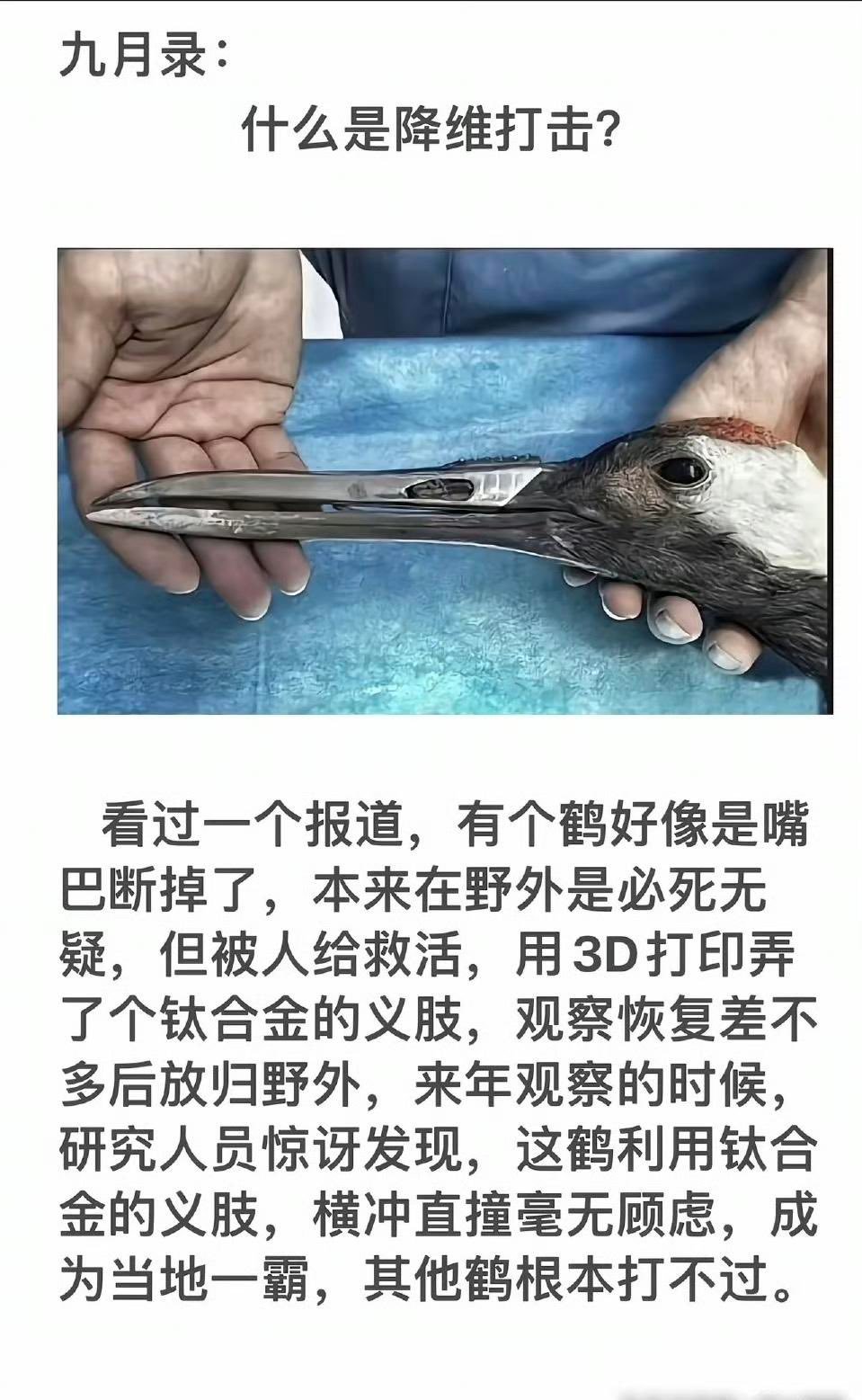 这根钛合金防撞梁一个意思······​​​