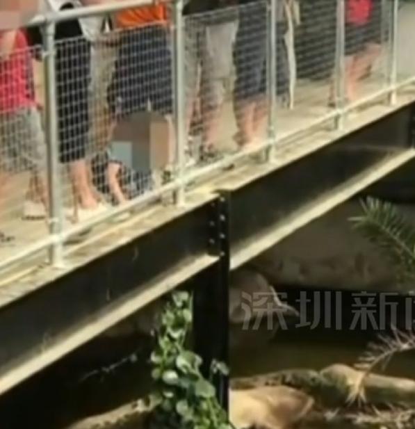“太可怕”！6月18日，4.5米高鳄鱼观赏区，30岁男子毫无征兆抱起身边3岁