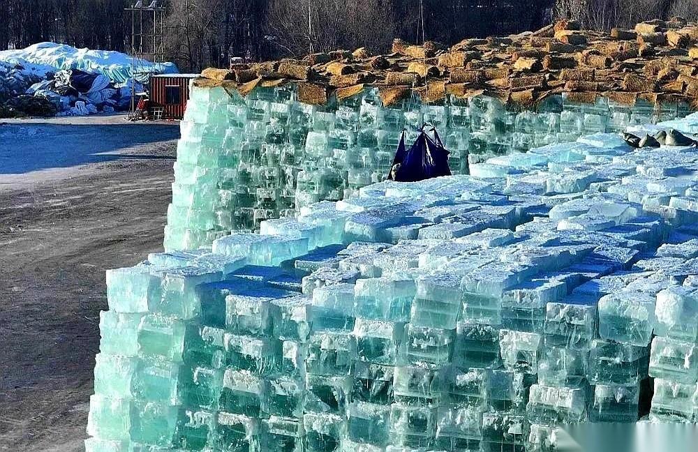 我跟你说，哈尔滨这事儿最让我服气的，不是冰雕多好看，游客多到挤不动。而是，你在