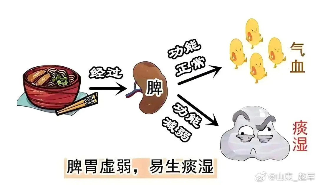 张仲景3味药的小方，堪称化痰湿的“铁三角”，健脾通三焦，化痰湿不留情​想知道自己