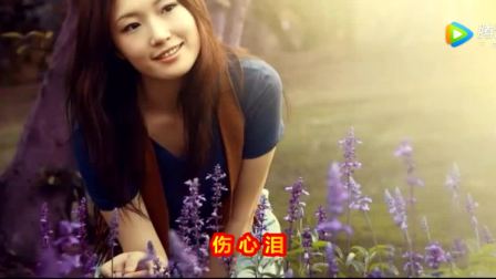 陈星避风港简谱_陈星北漂避风港