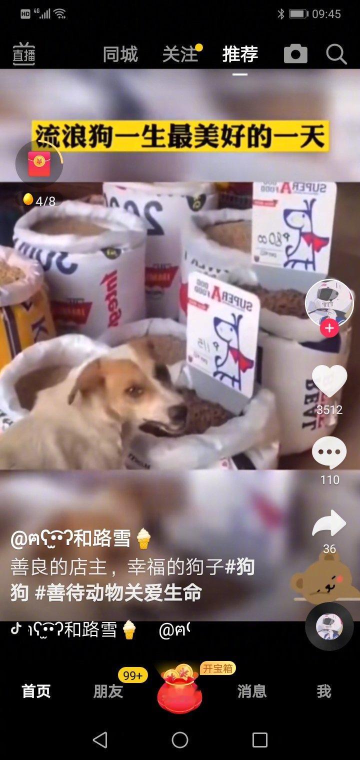 这条流浪狗可以堂而皇之的把店主卖的狗粮吃到饱，幸运的流浪狗背后有个善良无比的店主