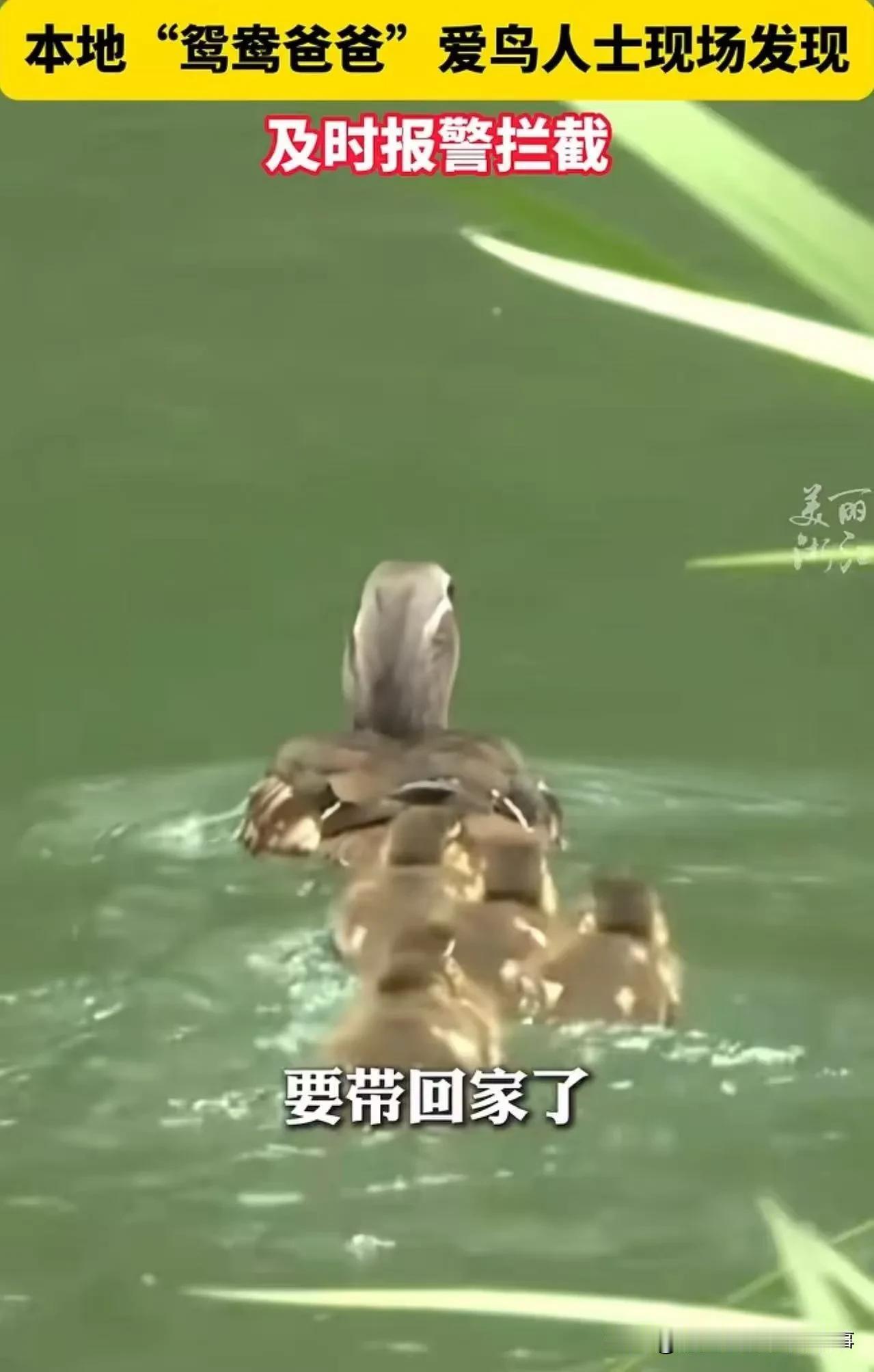 事件全貌（5月4日杭州太子湾）五一期间，一名女游客徒手抓住刚出生不久的小
