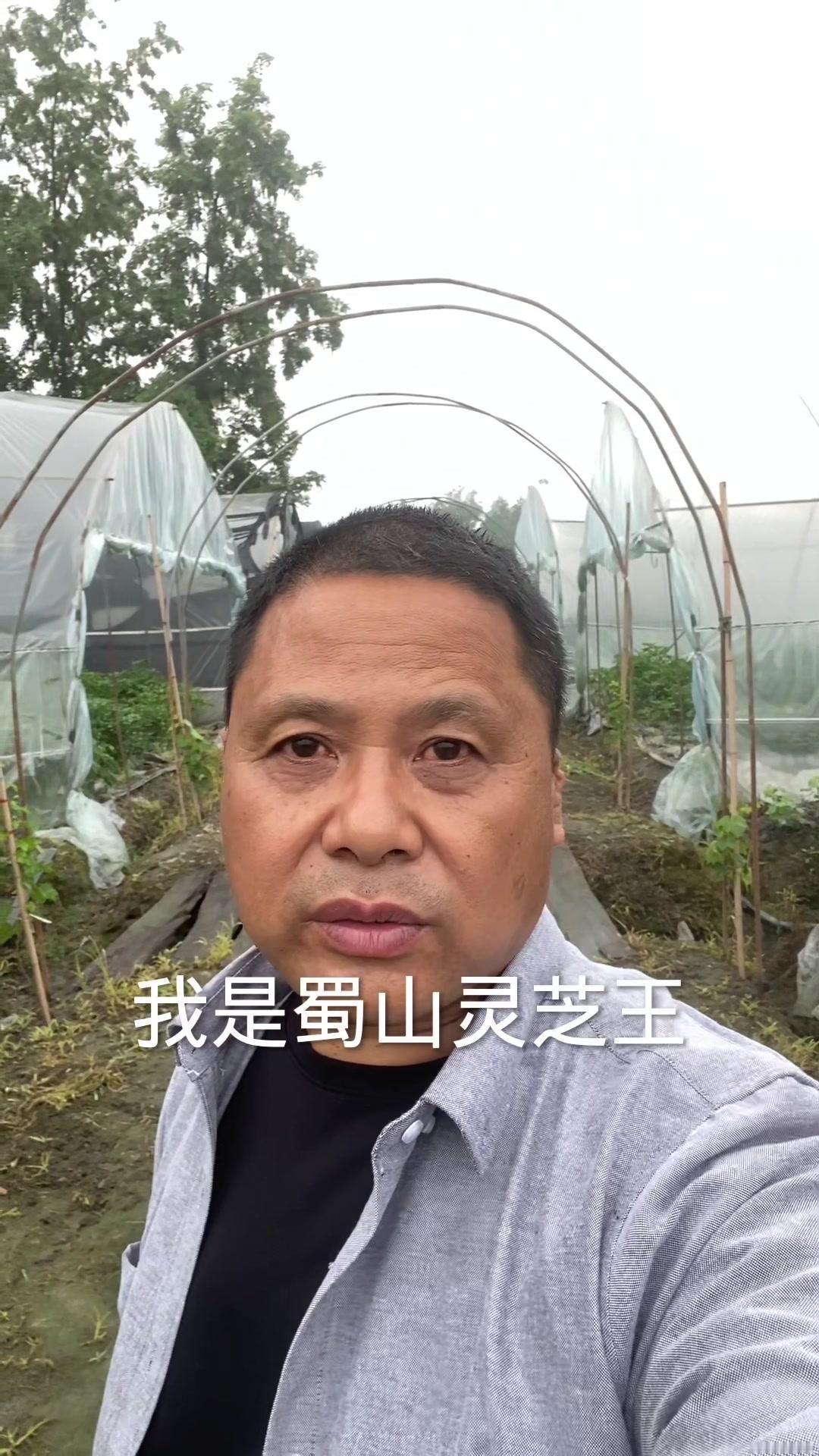 👀上午10点，带大家看羊肚菌农场。1️⃣羊肚菌大棚：羊肚菌结束之后，不换