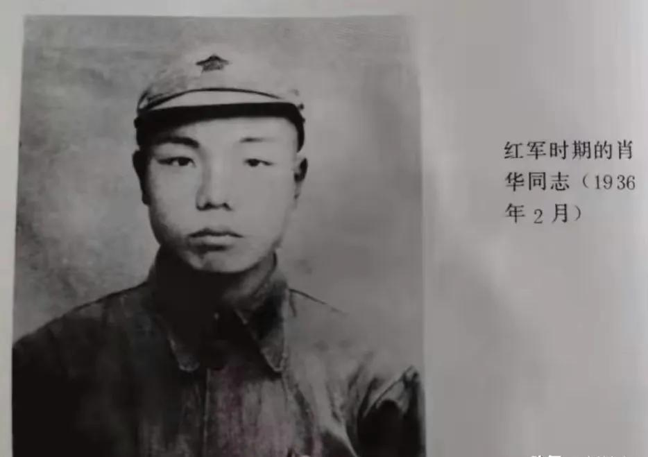 1938年，由于特务告密，鬼子包围了大常村。情急之下，常大娘把肖华司令藏进了枣堆