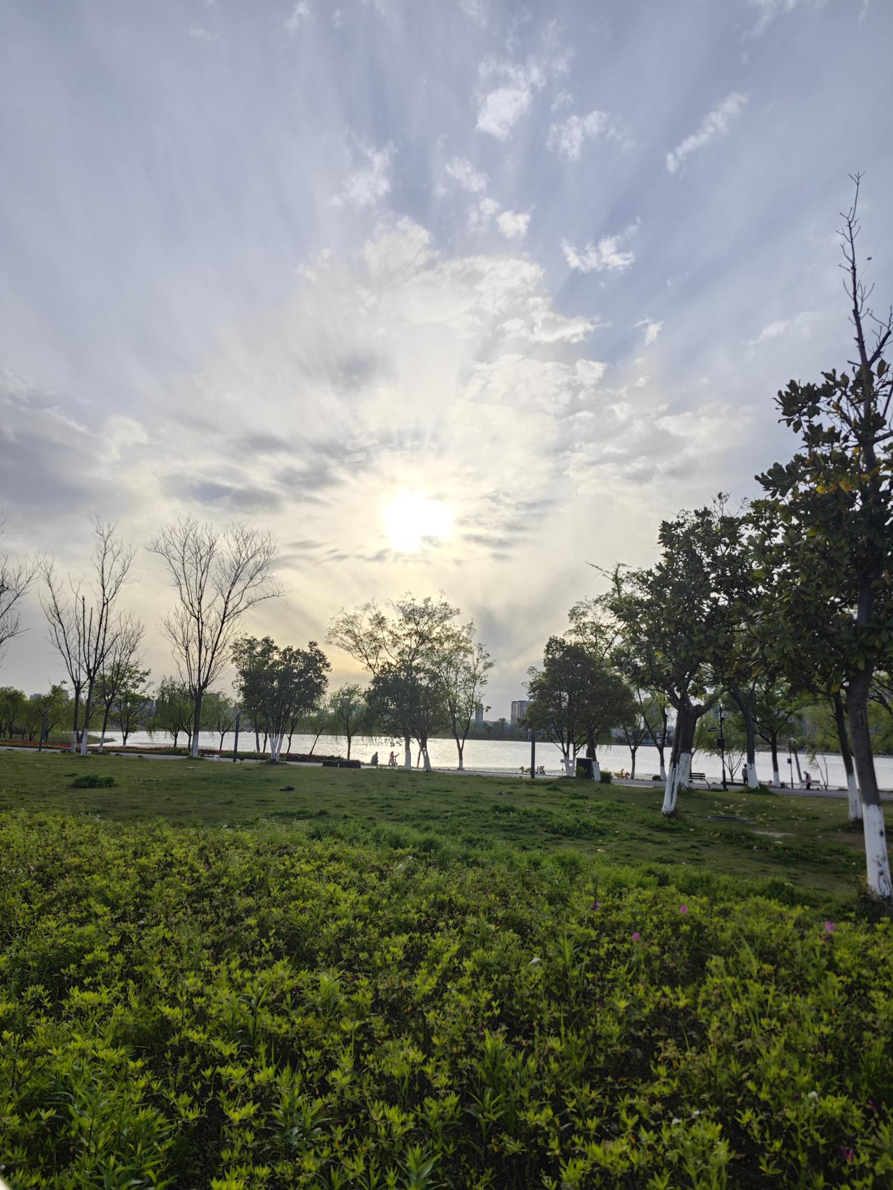 补品吃得再贵，步数刷得再多，心里那口怨气不散，全白搭。老中医把话撂这儿了——