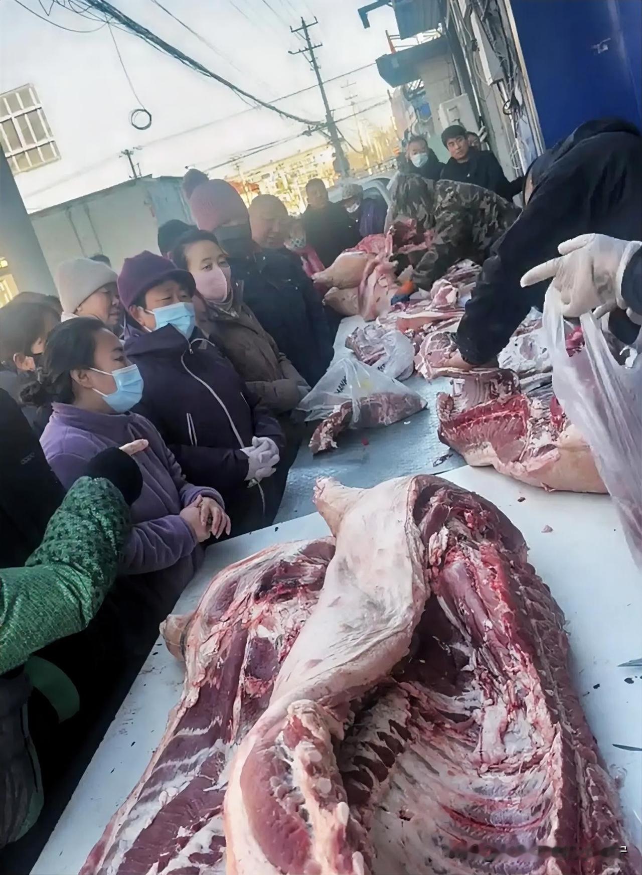 今年养猪的算是赔上了！家里这边的生鲜超市搞活动，猪肉来了一波大特价，围的
