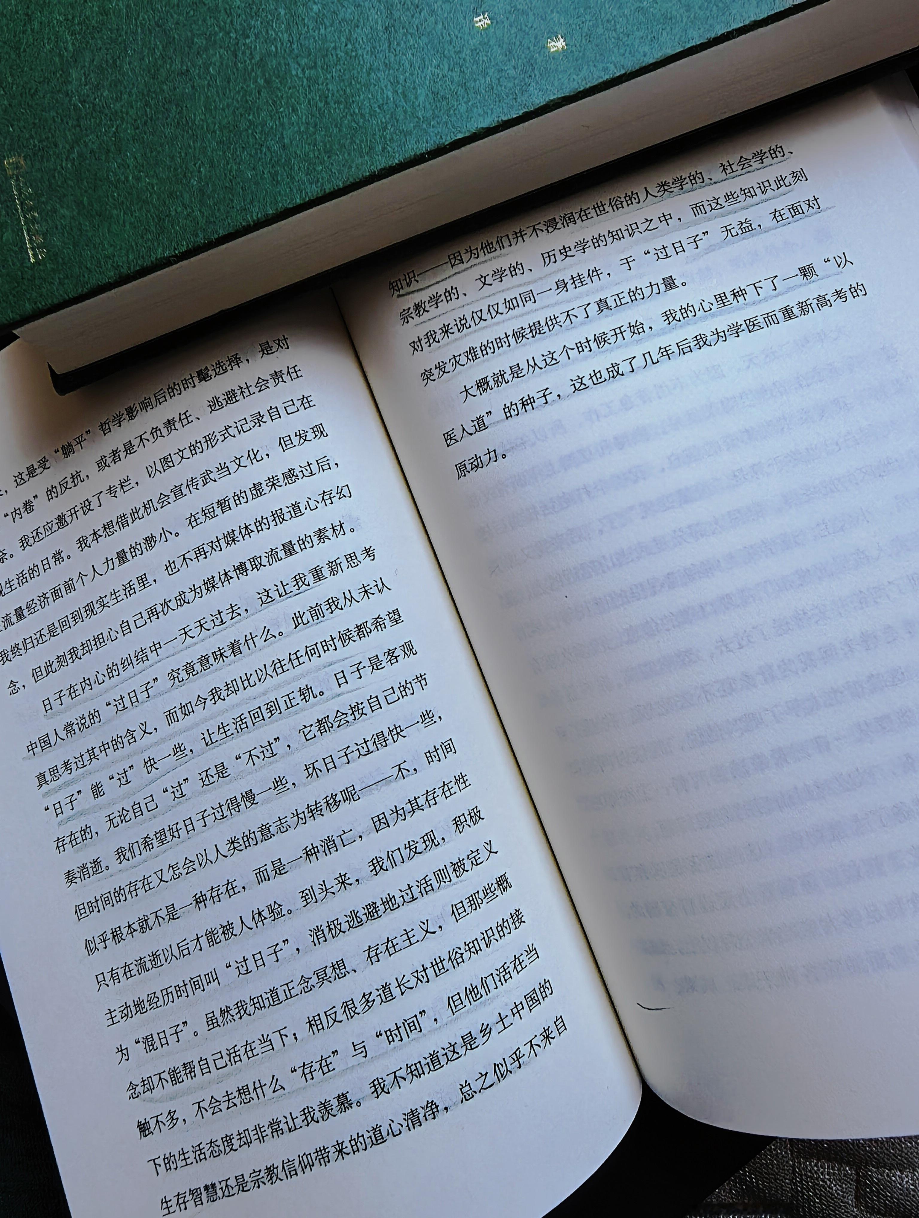 用两天的时间读完李闯的新书《辞职上山》。书里面，道教协会副会长问李闯的名时，他回