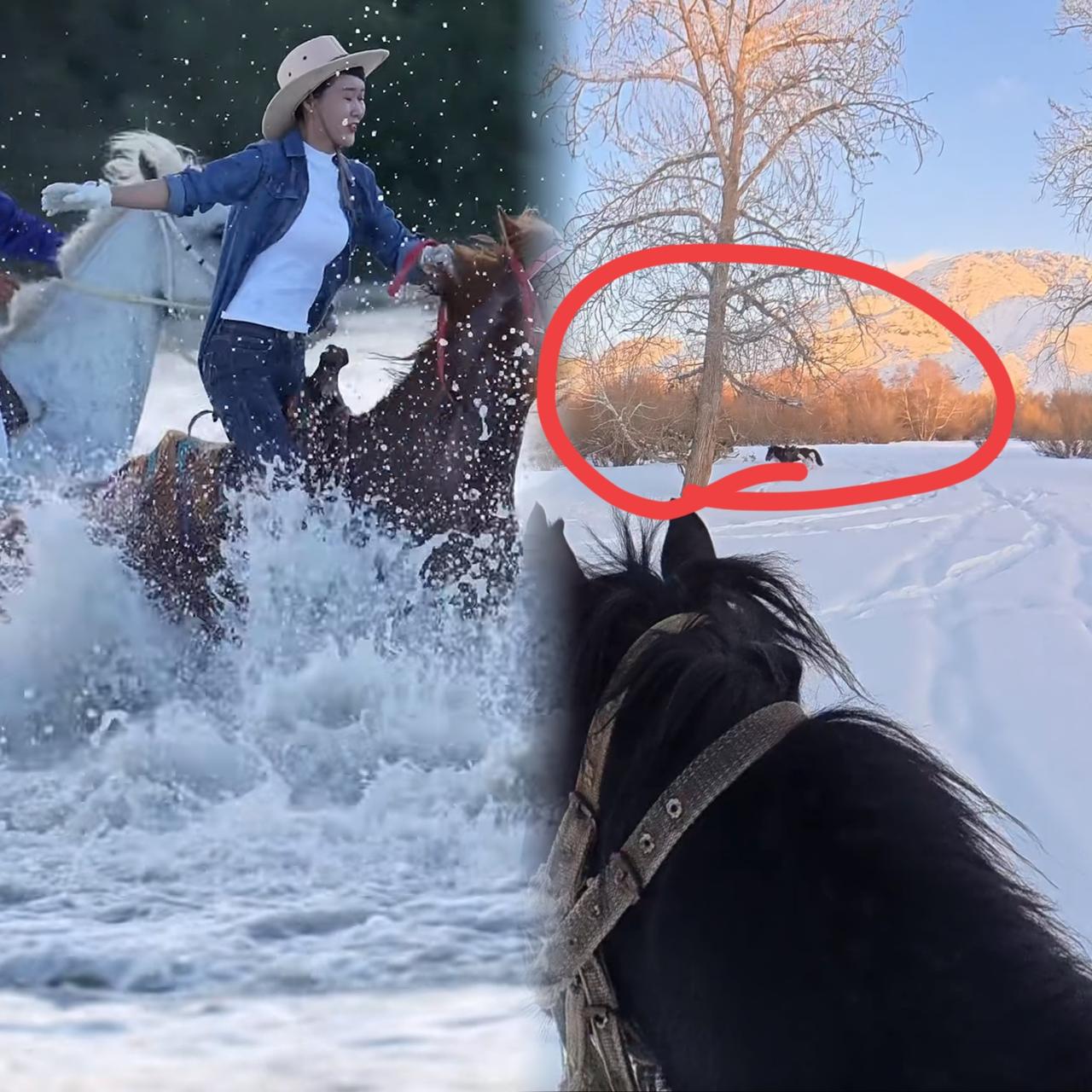 坠马视频看得人揪心不已，有个细节实在让人难以接受！她坠马时旁边不止俩同伴，一人还