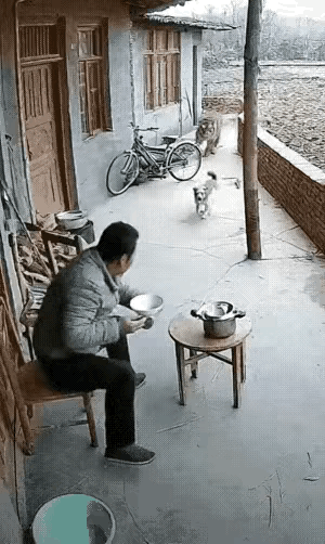 不得不说，现在的ai越来越牛了？[捂脸哭][捂脸哭][捂脸哭]
