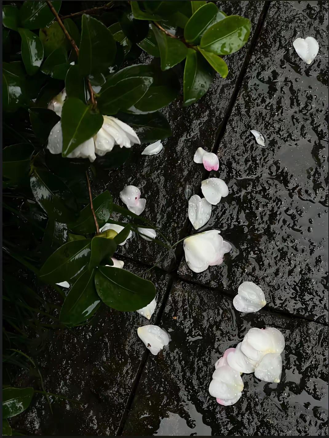 我弟弟16岁生病去世，有次我和我老公吵架，他就提我弟，意思就是我父母绝后了，是活