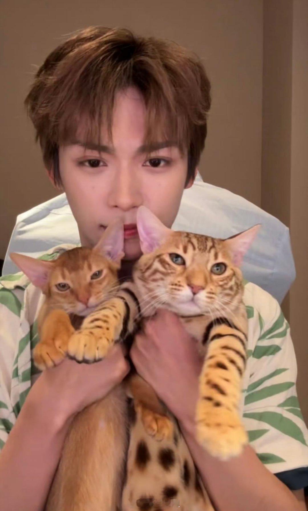 梓渝带着他的两只小猫咪一起出来直播啦，单纯从直播截图来看的话，梓渝这个直播状态可