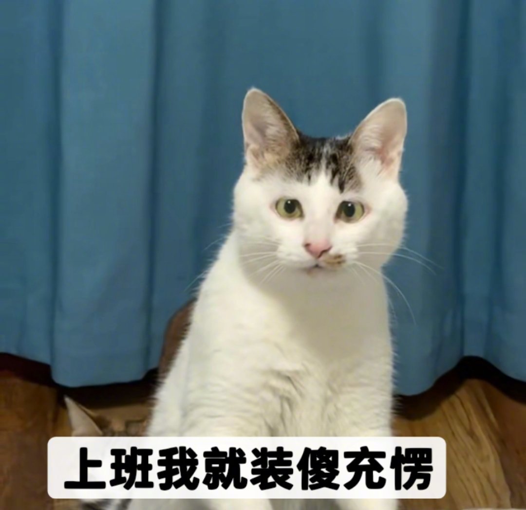 不要把工作太当回事不想上班1、上班是因为大家贫穷而相遇；2、单位的事再大也是小