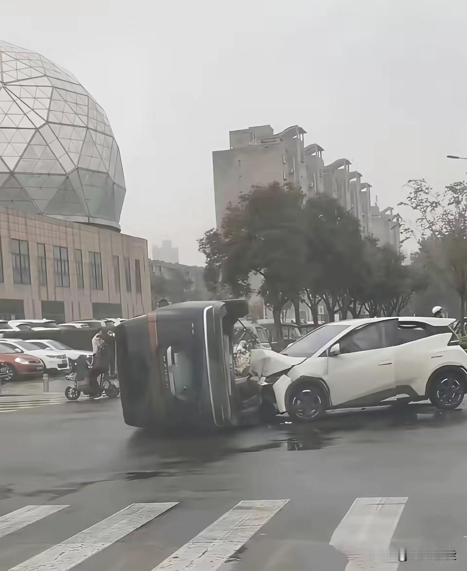 比亚迪海鸥：“大、大哥，对不起，不小心把你给撞翻了！”腾势D9：“小海鸥，你长