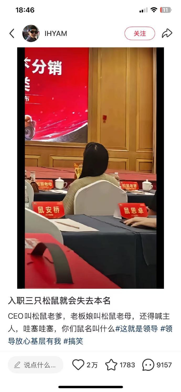 哈哈哈⋯⋯好像是干部以上都会被分配一个鼠姓，普通员工还没资格鼠🐭