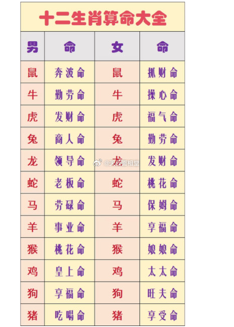 12生肖算命大全，你是什么命？（仅供参考）