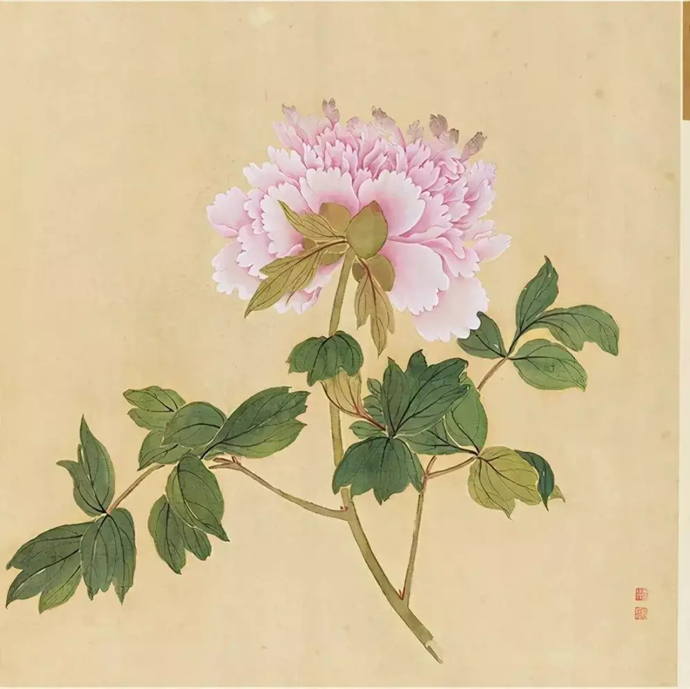 蒋廷锡牡丹谱。蒋廷锡（1669—1732），江苏常熟人。是清朝重要的宫廷画家之