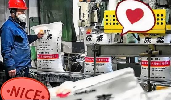 中东那边还没消停，谁能想到，咱们西北新疆、宁夏和内蒙的尿素厂却忙得脚不沾地。好多