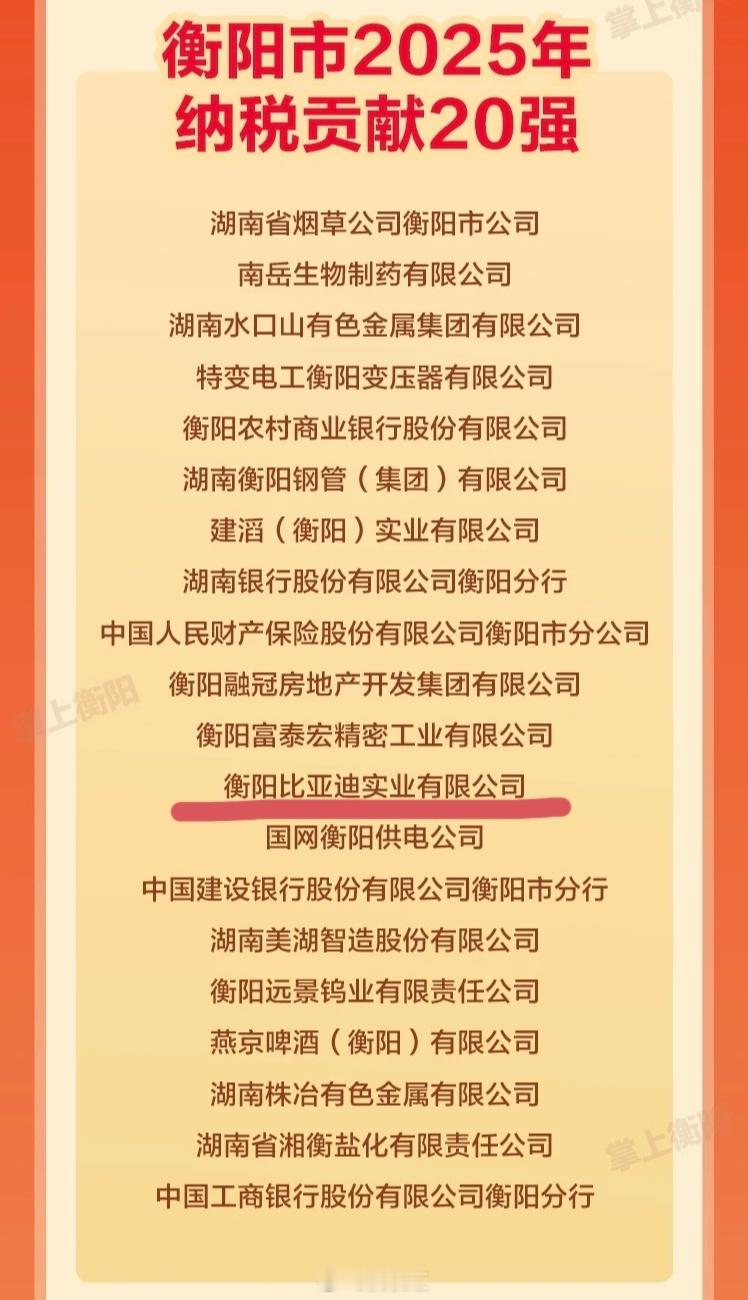 刚刷到一条关于衡阳市2025年纳税贡献20强的信息发现衡阳比亚迪在列，为迪厂点赞