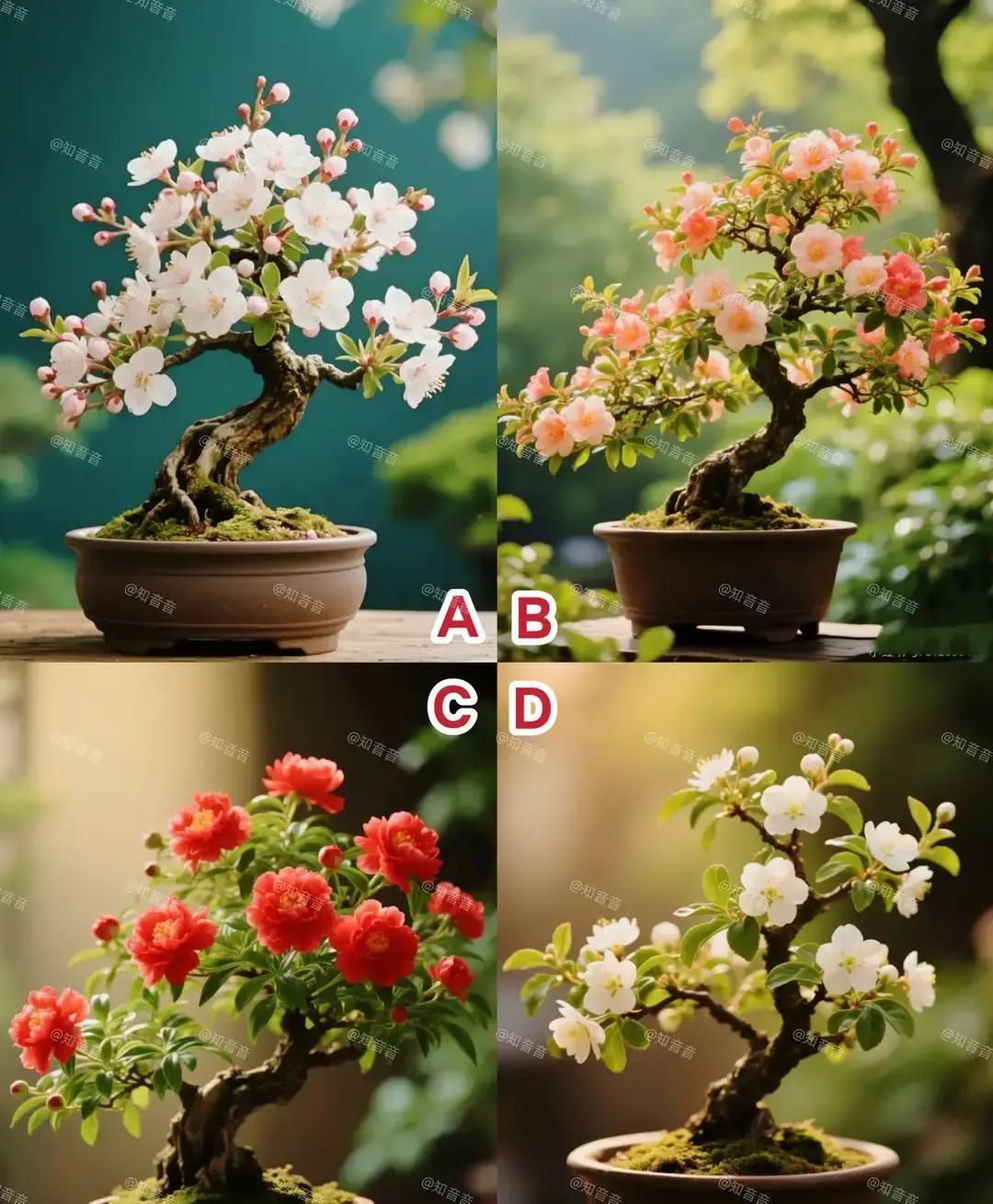 亲戚聚会，最怕人问：“你家孩子啥时候结婚啊？工作找好没？”一句话就把天聊死，我