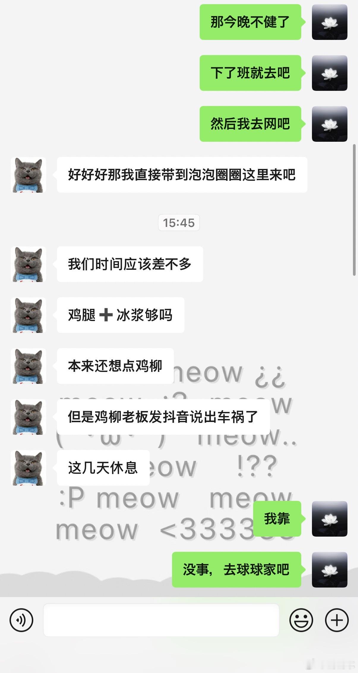 一个好吃狗朋友
