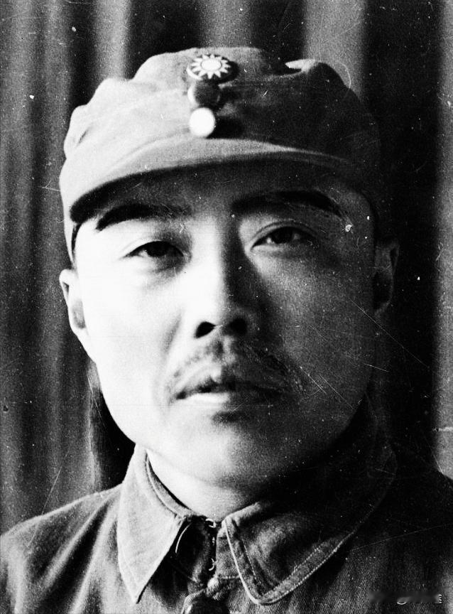 项英如果活到解放后，军衔会有多高？湖北江夏的项英出身工人阶层，十五岁走进武昌